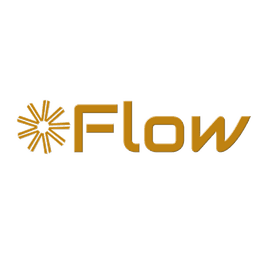 Varoom Flow logo